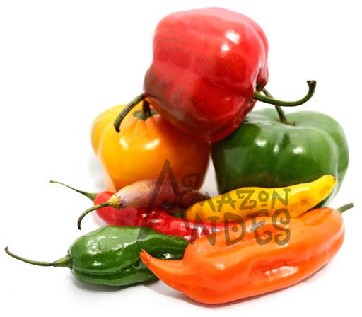Mixed fresh Peruvian peppers from the Uchu project