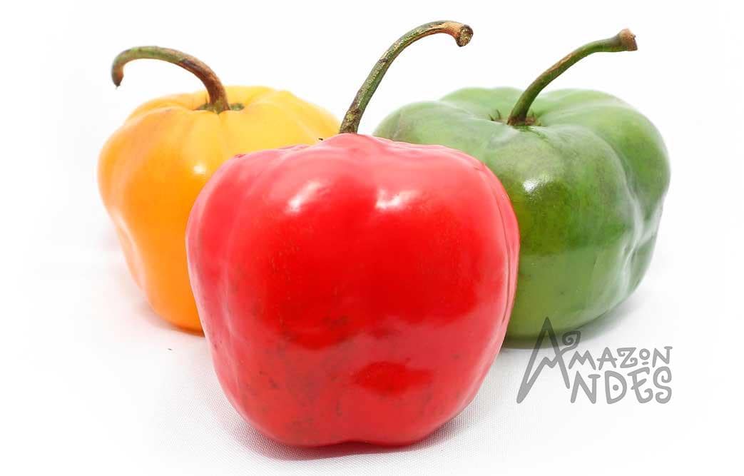 Red, orange and green rocoto peppers from Peru